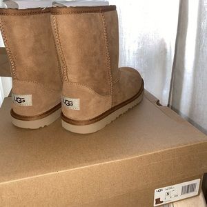 Chestnut short Uggs